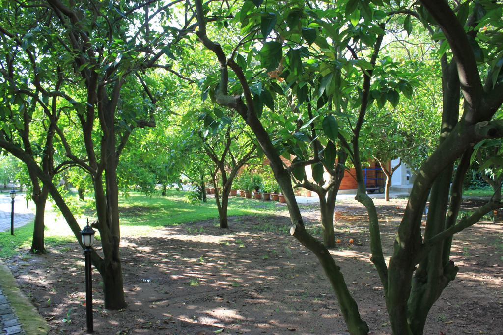 Yildiz Pension Bungalows Çıralı Exterior foto