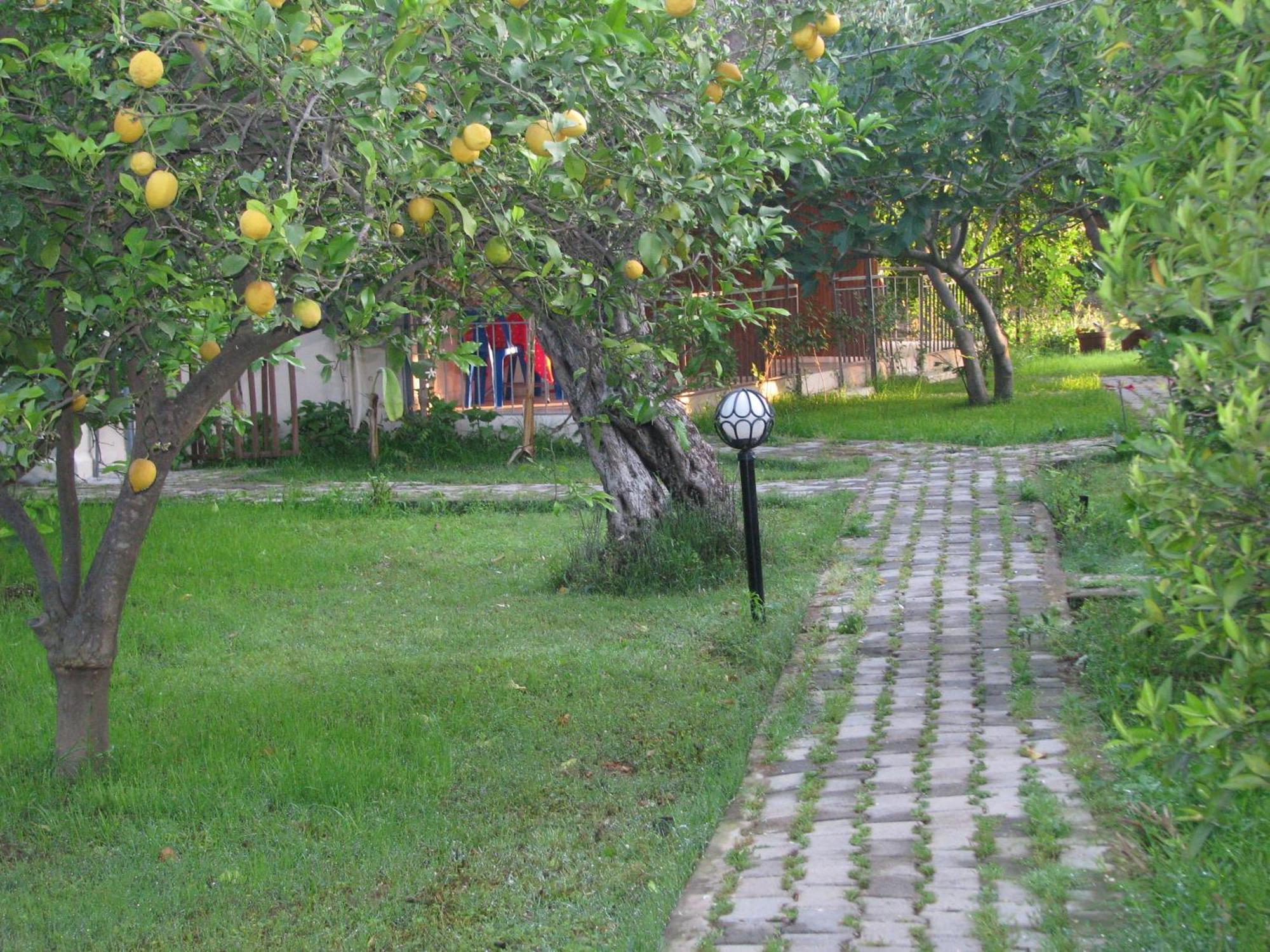 Yildiz Pension Bungalows Çıralı Exterior foto