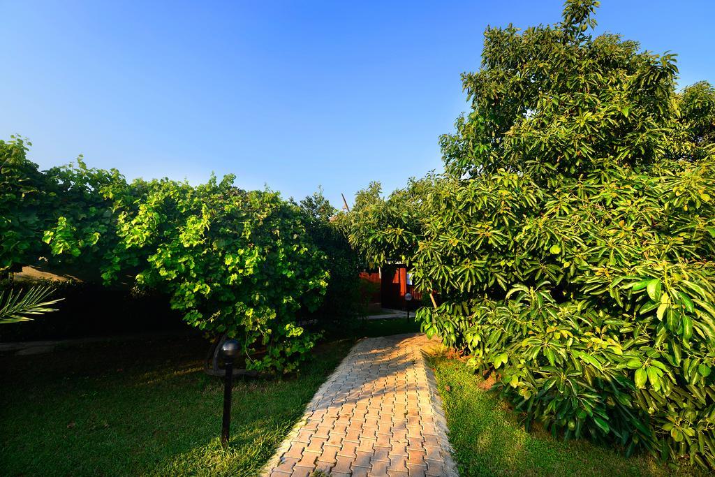 Yildiz Pension Bungalows Çıralı Exterior foto