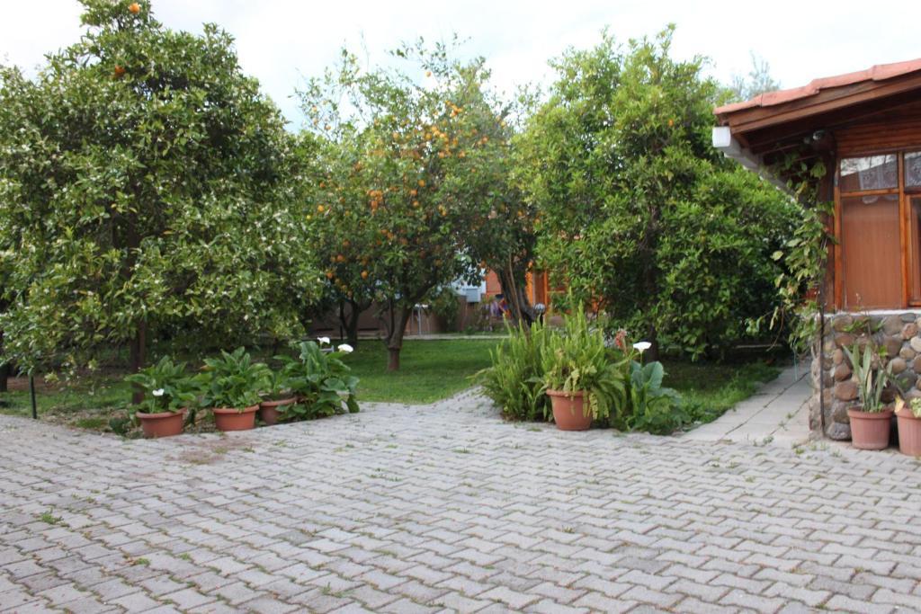 Yildiz Pension Bungalows Çıralı Exterior foto